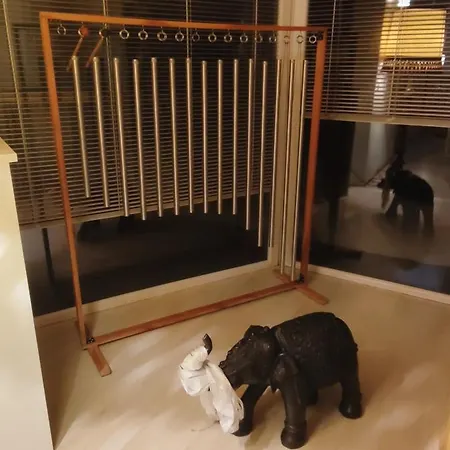 Hawis By Hermann Weiss